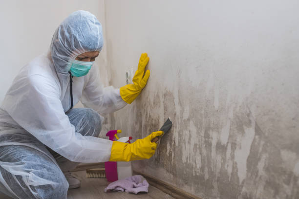 Best Bathroom Mold Remediation in Bunk Foss, WA