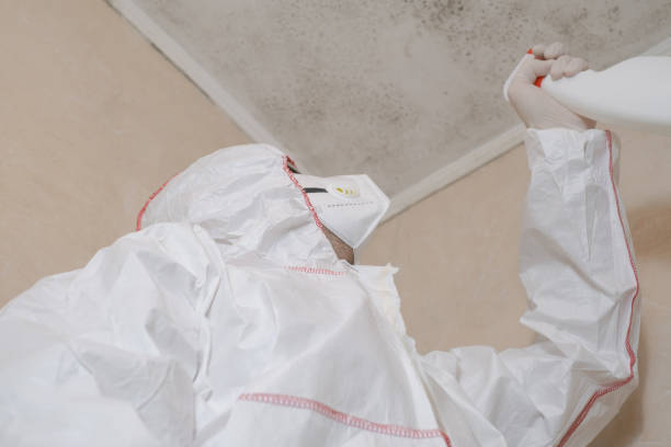 Best Kitchen Mold Remediation in Bunk Foss, WA