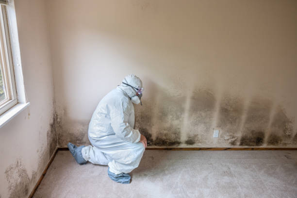 Best Industrial Mold Remediation in Bunk Foss, WA